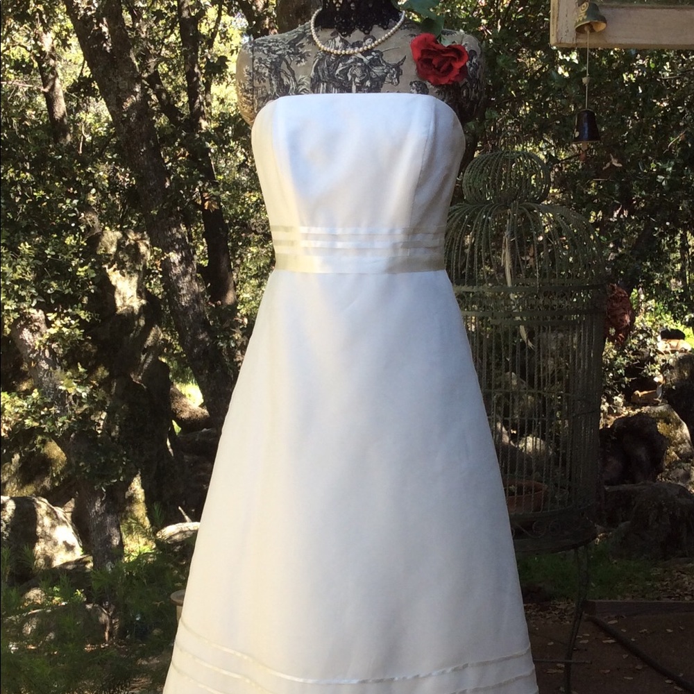 ♥️NWT David’s Bridal Strapless ALine Chiffon